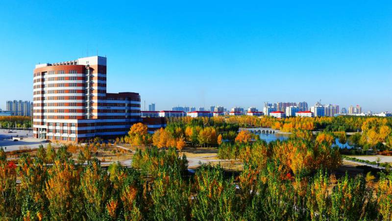 化工大学 www.nepuzs.com