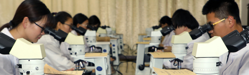 化学工程 www.nepuzs.com
